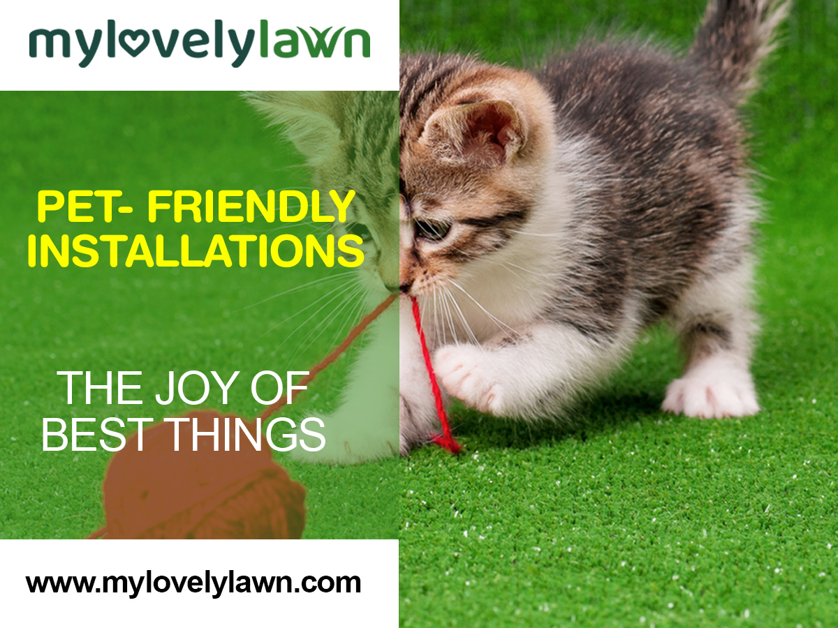 pet friendly artificial grass